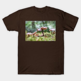 Delicate pink mushrooms on forest floor. T-Shirt